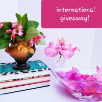 I can’t believe it and a huge thank you! #giveaway #bookgiveaway #internationalbookgiveaway #bookstagram