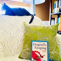 Dragonfly Escaping by Raya Khedker #bookreview #tarheelreader #thrdragonflyescaping @rayakhedker @suzyapbooktours #dragonflyescaping #blogtour